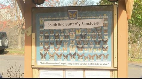 Teen founder of Butterfly Sanctuary named Albany County Citizen of the Month