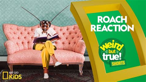 Teen weird objects.  Weird But True! Shorts Roach Reaction Think cockroach...