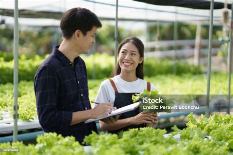 Teenage Farmer Or Time Machine