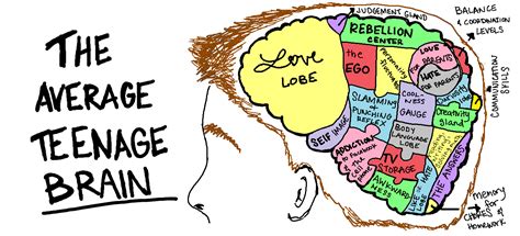 View Social Media Vocabulary_Teenage Brain - How Authors Organize Their Ideas-2.docx from MATH GEOMETRY at Mainland High School. Social Media Vocabulary Teenage Brains are Malleable and Vulnerable,. 