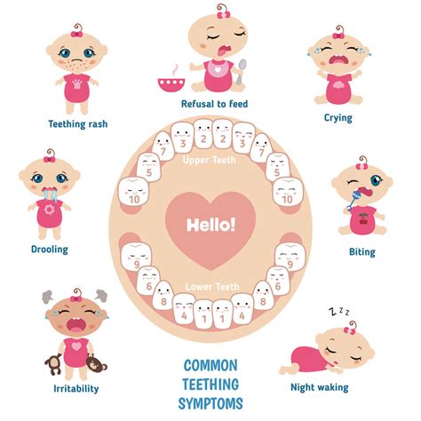 Teething problems in babies