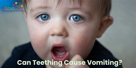Teething vomiting molars.  Vomit is especially toxic because it contains st...
