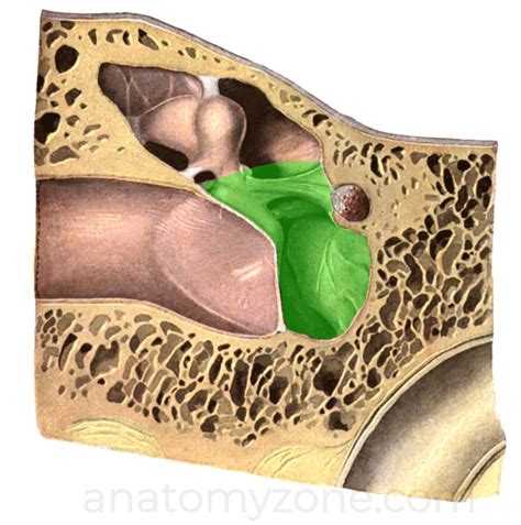 Tegmen Halı ve Koltuk Yıkama