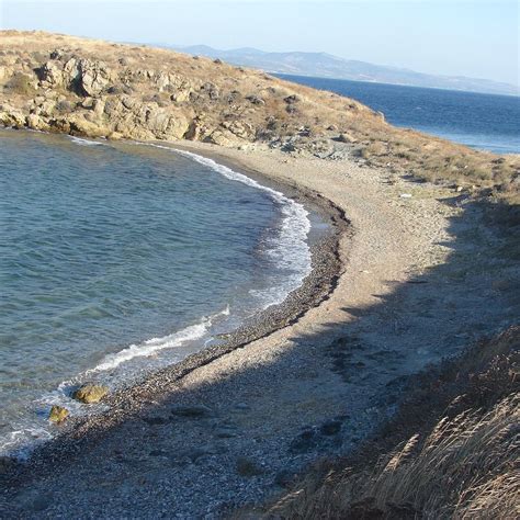 Tekirbahce Halı ve Koltuk Yıkama