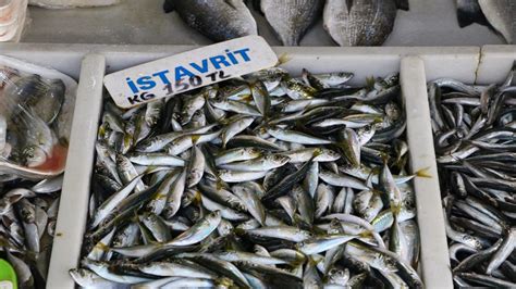 Tekirdağ'da balıkçı tezgahlarında en çok istavrit ilgi görüyor - Son Dakika Haberleri