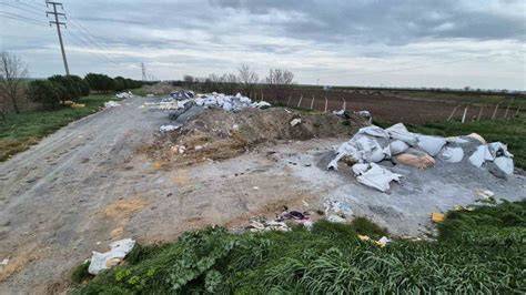 Tekirdağ Muratli Ballihoca Mahallesi terapi halı yıkama