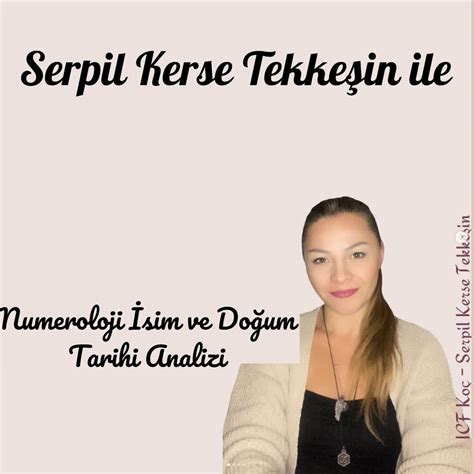 Tekkesin Halı ve Koltuk Yıkama