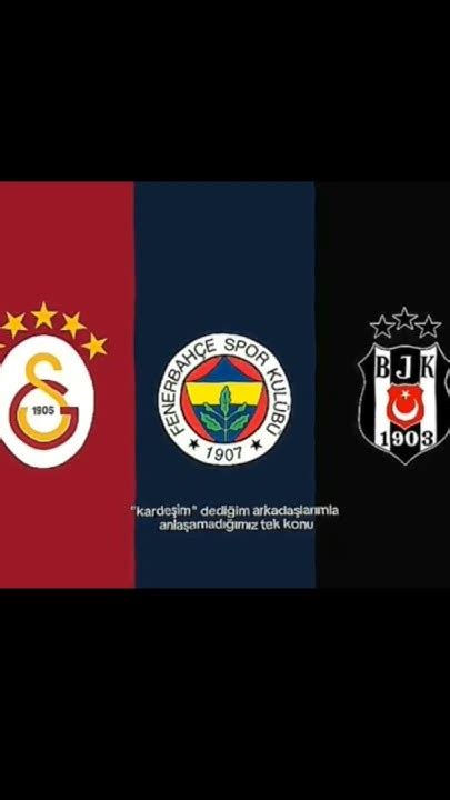 Tekkonu Halı ve Koltuk Yıkama