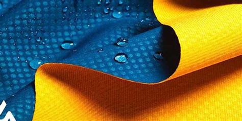 codini.rgarabwor.edu.pl. 