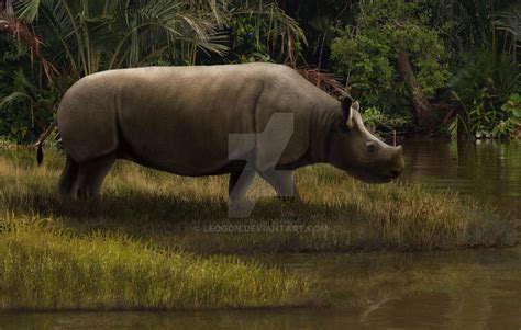 A los rinocerontes Teleoceras Hicksi se les ubica en el cuarto período geológico de la Era Cenozoica, época en la que surgieron numerosas especies vegetales encontradas en estados mexicanos .... 