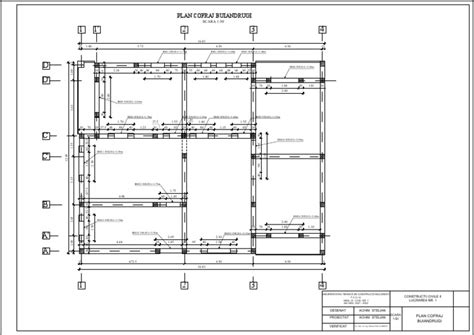 Tema Buiandrugi PDF - Scribd