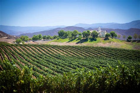 Temecula winery tours. We've created an ultimate guide to the 75 best museums across the world that you can tour and visit virtually anytime from home for free! We may be compensated when you click on pr... 