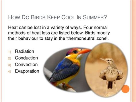 Temp bird jobs. Things To Know About Temp bird jobs. 
