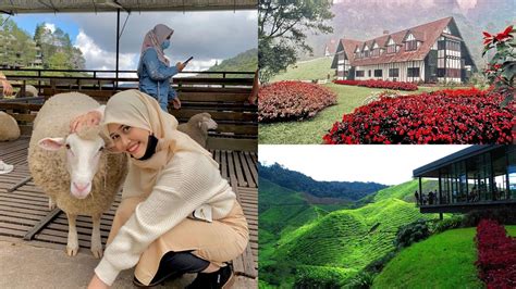 Tempat Menarik di Cameron Highland 2024: Aktiviti dan Itinerary