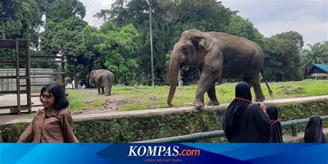 Hotel dekat aksesoris pengayoman