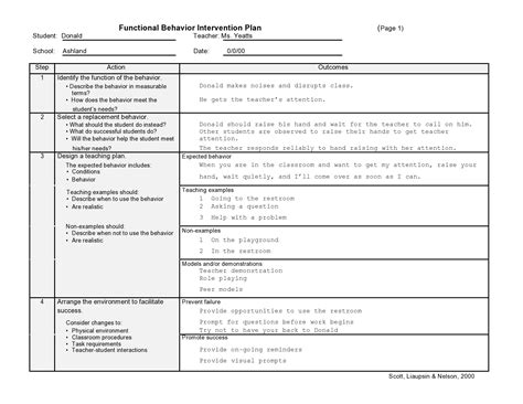 Template Bip Plan Examples Special Education