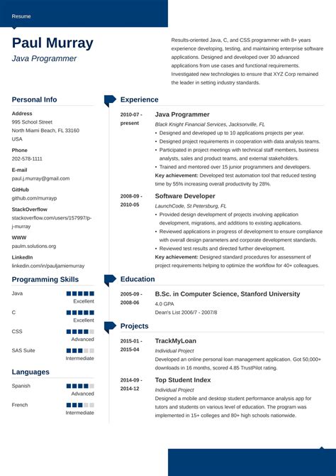 Template Cv Programmer cari