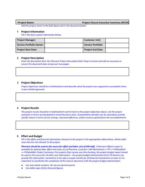 Template Executive Summary Database