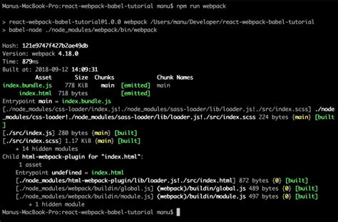 Templateparameters webpack.  You can either let the plugin generate an...
