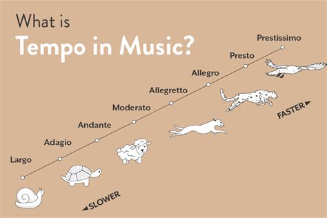Tempo in music. Tempo, metre and rhythm are vital in all forms of music. Tempo is the underlying beat of the music. Metre is the organisation of rhythms into certain regular patterns. 