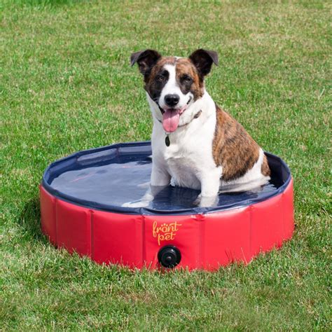 Temporary Pool For Dogs