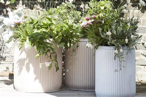 Temu planters. Best Cheap planters set Sale. Find amazing deals on outdoor wicker planters and plant pot set on Temu. Free shipping and free returns. 