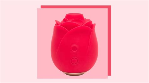Find amazing deals on rose toys at on Temu. Free shipping and free returns. Explore the world of Temu and discover the latest styles. .