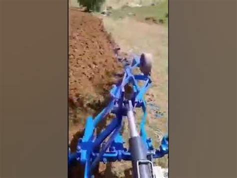 Temuklu Halı ve Koltuk Yıkama