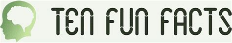 Ten Fun & Free Fonts great for digital scrapbooking / card making