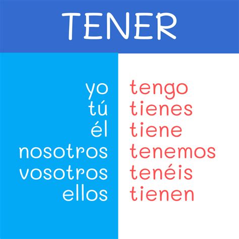 Tener Halı ve Koltuk Yıkama