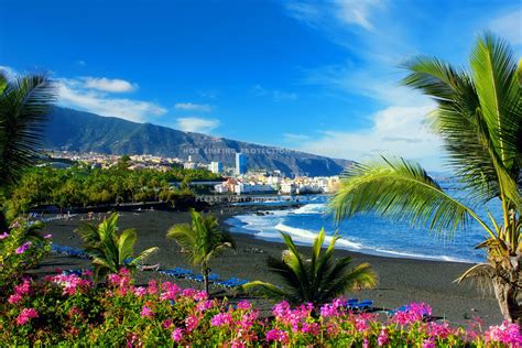 Tenerife Photos, Download The BEST Free Tenerife Stock Photos