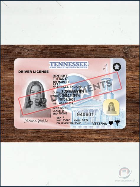 Tennessee Driver License PSD Template PSD Documents