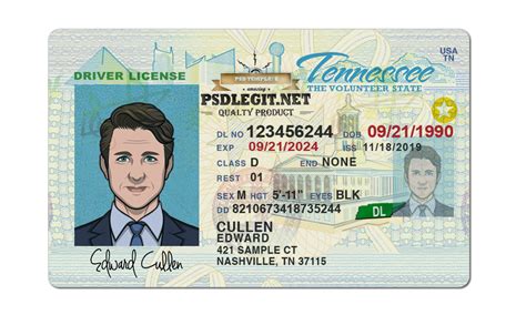 Tennessee Drivers License Template PSD File