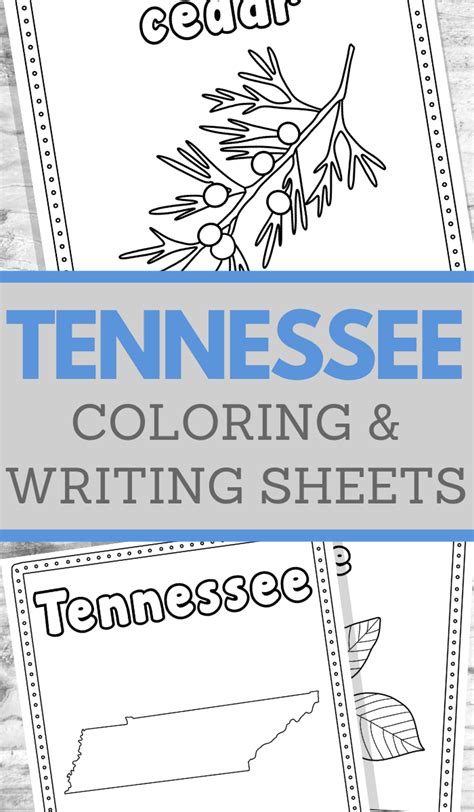 Tennessee Handwriting and Coloring Pages for Learning Fun