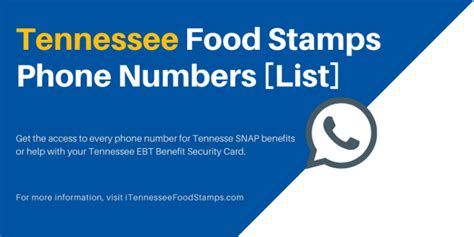Option #3 – Check Tennessee EBT Balance by Phone. Lastly, you can check your Tennessee EBT Card balance is by phone. Call the Tennessee EBT Customer Service number at 1-888-997-9444. The Customer Service Hotline is available 24 hours a day, 7 days a week. After you call, enter your EBT card number and four-digit PIN.