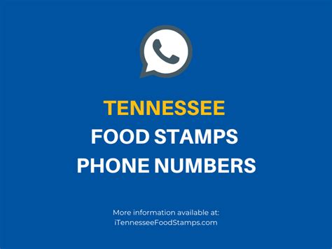 Tennessee food stamp phone number. A: You can check your balance online at www.TN.gov, or by calling the Customer Service number at 1-800-986-5437. If you're a Tennessee resident who relies on EBT/Food Stamps to help make ends meet, it's important to know how to check your balance. Here's a quick guide on. 