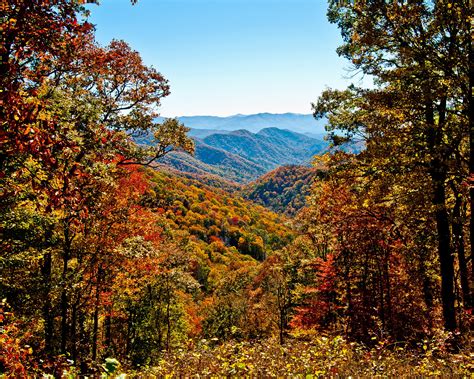 Tennessee national. Tennessee became the 16th state of the union in 1796. ... Great Smoky Mountains National Park is America’s most visited national park, attracting more than 9.4 million people in 2010. 