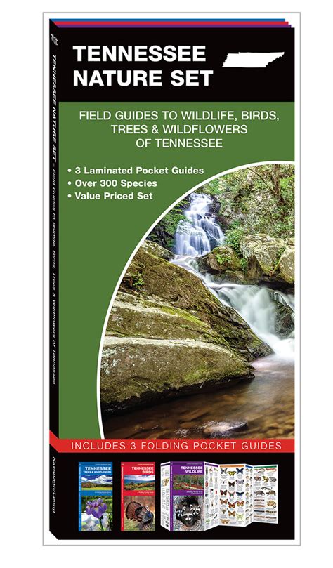 Tennessee nature set field guides to wildlife birds trees wildflowers of tennessee pocket naturalist guide. - Nissan skyline r33 engine repair manual covers rb20e rb25de rb25det rb26dett instant.