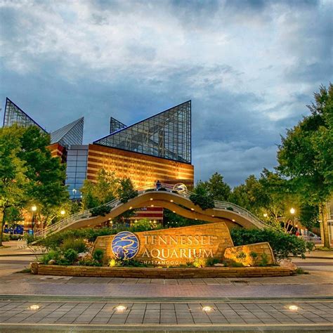 Tennesseeaquarium - Discover why the Tennessee Aquarium is consistently rated one of the nation's top aquariums. We have two buildings to explore. River Journey features freshwater habitats from our backyard and around the world. Ocean Journey brings you face-to-face with sea creatures from the Gulf of Mexico all the way to the South Pole.