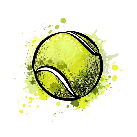 Tennis ball drawing Vectors & Illustrations for Free …