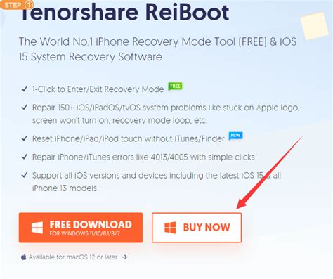 Tenorshare ReiBoot Pro 10.8.9 Crack + Registration Code 