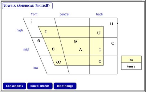 Tense vowel linguistics Britannica