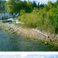 Teoman Aydin Profiles Facebook.