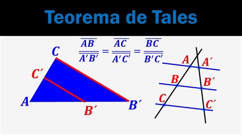 Teorema de Tales. Teorema de tales ejemplos.