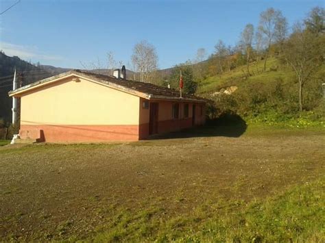 Tepealan Halı ve Koltuk Yıkama