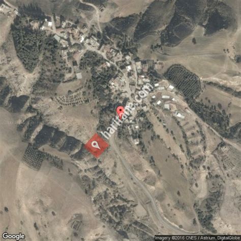 Tepecaylak Halı ve Koltuk Yıkama