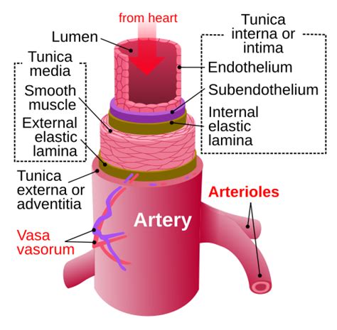 Tepna – Wikipedie