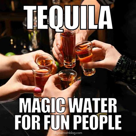 Tequila Memes