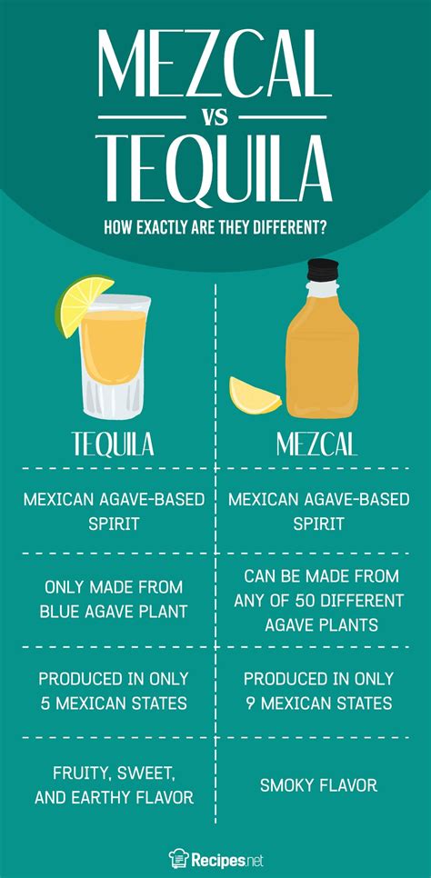 Tequila and Mezcal: What