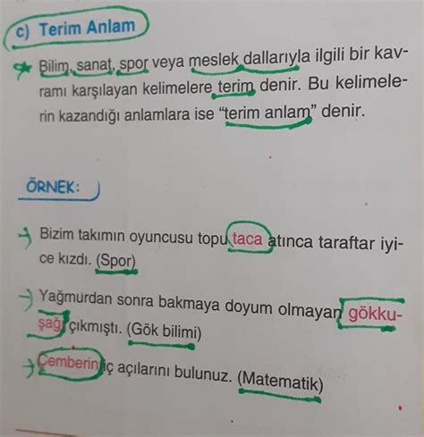 Terim anlam nedir türkçe